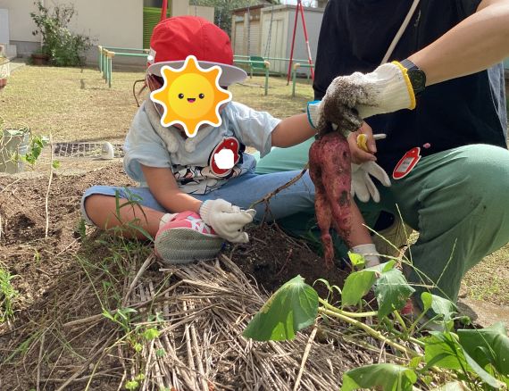 ほる