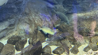 IMG_0647