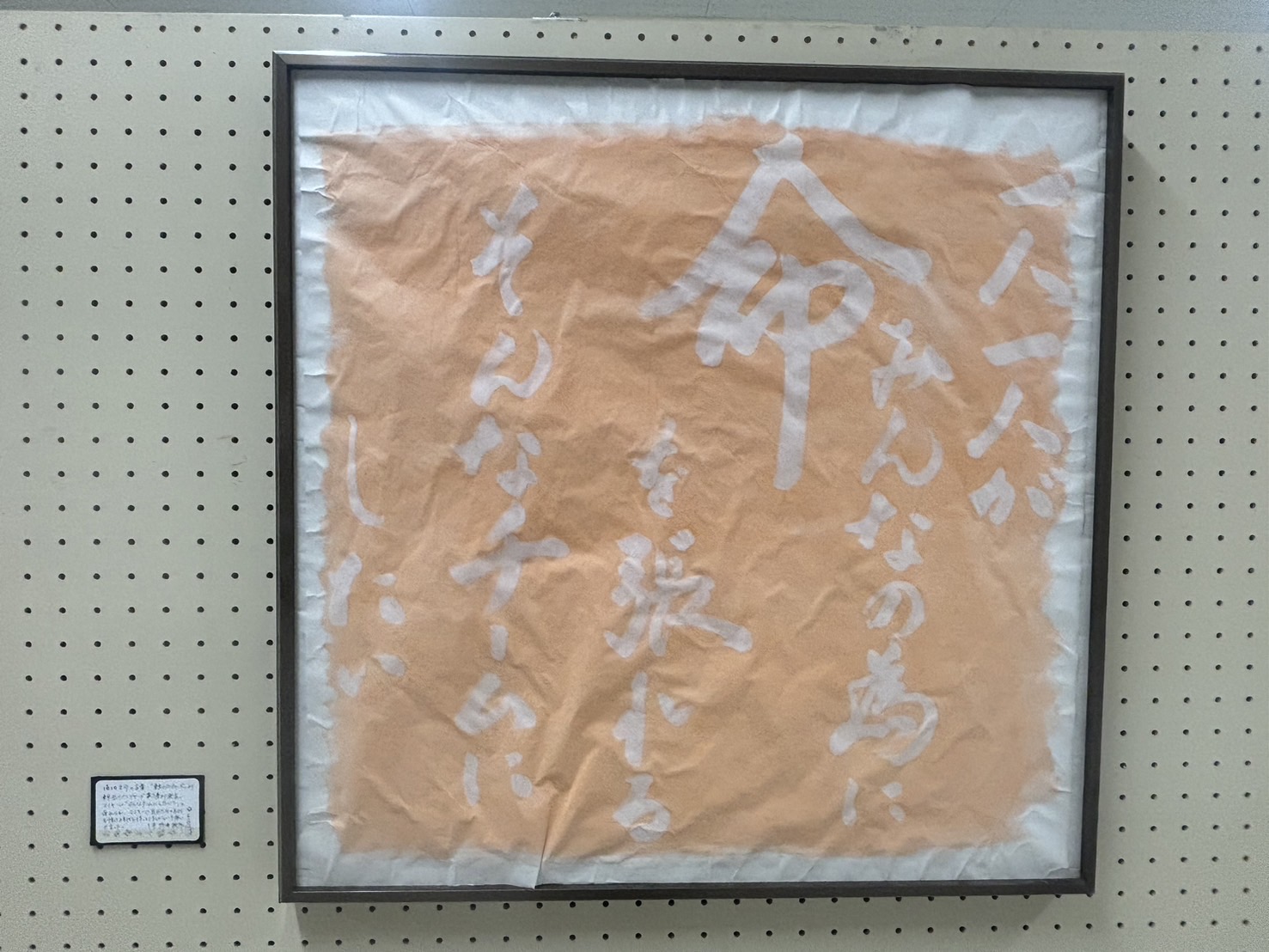 S__138805598_0