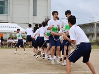 体育祭を実施しました2