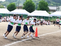 体育祭を実施しました4