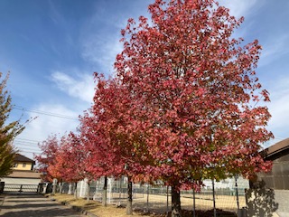 IMG_3458-cleaned