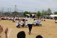 体育祭17