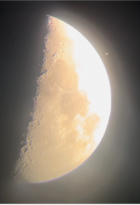 土星食