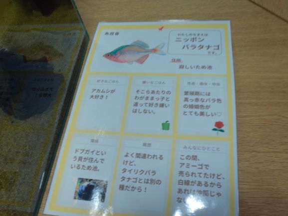 DSCF0063