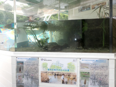 新屋島水族館_221105