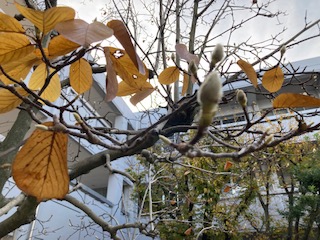 IMG_2702-cleaned