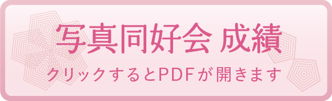 写真同好会 成績