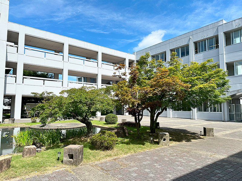 夏