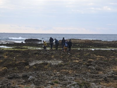 yakushima20211215-001.jpg