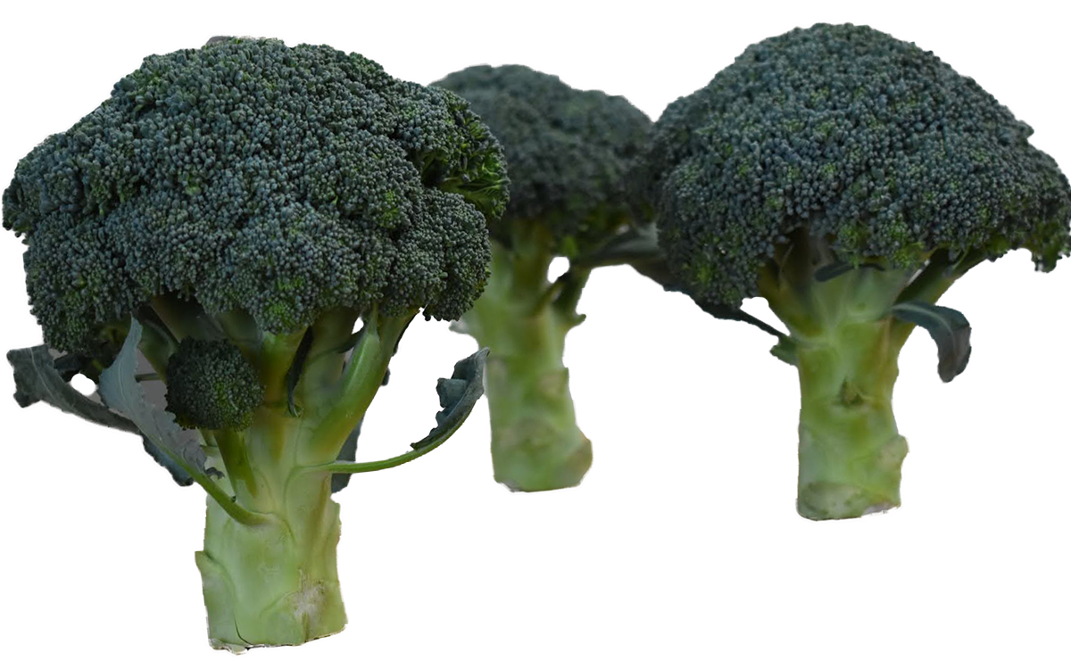 school_life-broccoli