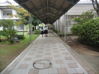 CIMG5319