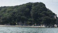 IMG_6948