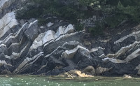 IMG_6961
