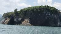 IMG_6974