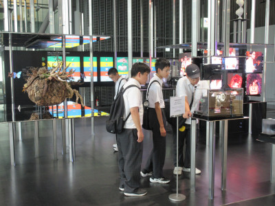 展示