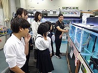 DSC01461
