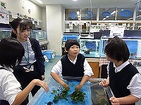 DSC01508