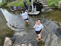 IMG_3348