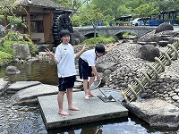 IMG_3344