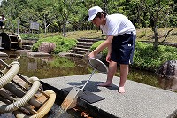 IMG_3429