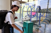 IMG_3491