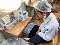 IMG_2491