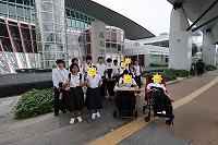 IMG_1679p