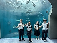 s-IMG_3775