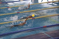 IMG_3304p