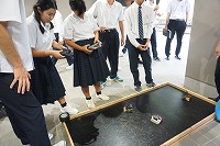 DSC07565
