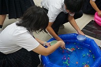 DSC07605