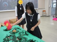 IMG_0522p