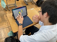 IMG_0850p