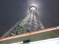 IMG_0559