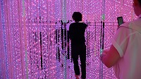 IMG_0271