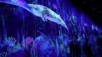 IMG_0295