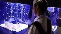 IMG_0327