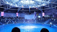 IMG_0383ｐ