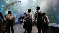 IMG_0350