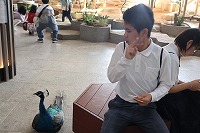 IMG_3933