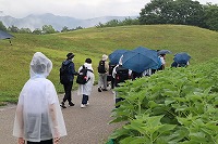 IMG_9430