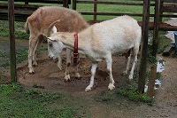 IMG_9482