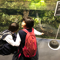 京都水族館