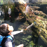 京都水族館