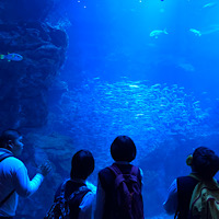 京都水族館