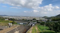 みかん狩り