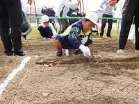 チューリップ植付