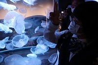 IMG_0036