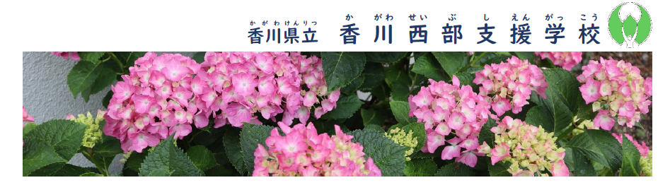 あじさい